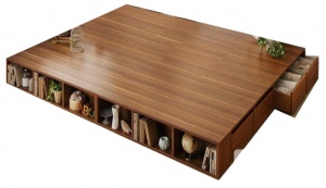 GIƯỜNG PHẢN VGS 2